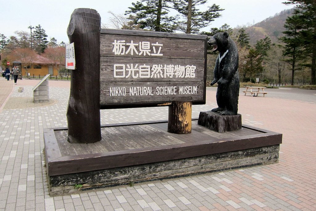 🏛️ 도치기 현립 닛코 자연사 박물관 (도치기켄리쓰 닛코 시젠 하쿠부쓰칸) 이미지 8